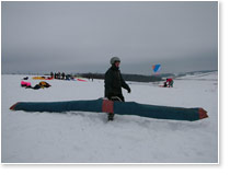      (,  2006).