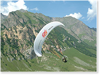     MVK     ( 2007).