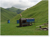      ( 2008).