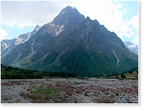   ,     ( 2014).