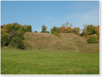 .       ( 2005).