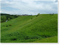 -        ( 2006).