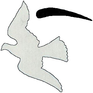 Крыло птицы