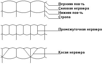 Виды нервюр: силовые, промежуточные, косые.