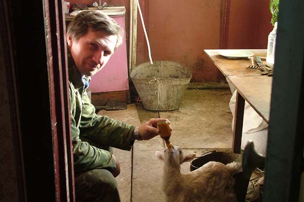 А вот так козленка из соски кормят.