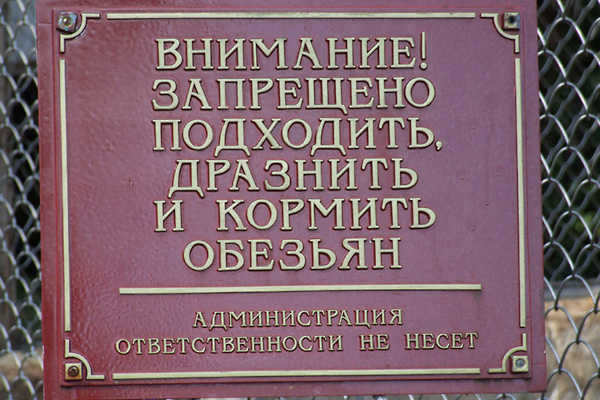 Гримасы туристического бизнеса. Внутри разумные таблички "не кормить", ...