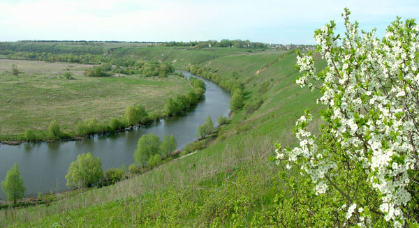 Весна в Вяжах.