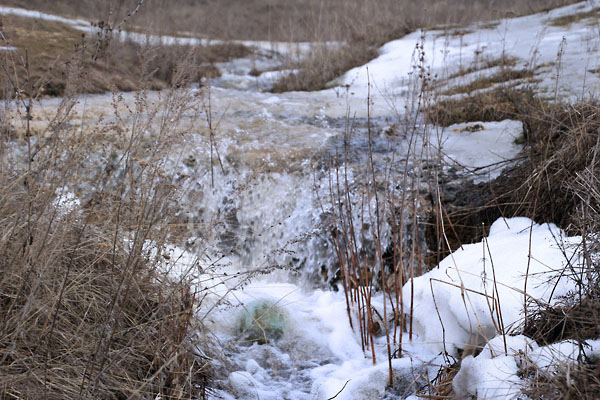 9 марта грянула весна. Температура воздуха днем поднялась до +6. Снег таял на глазах и ручьи сбегали в Зушу как полноценные речки. 