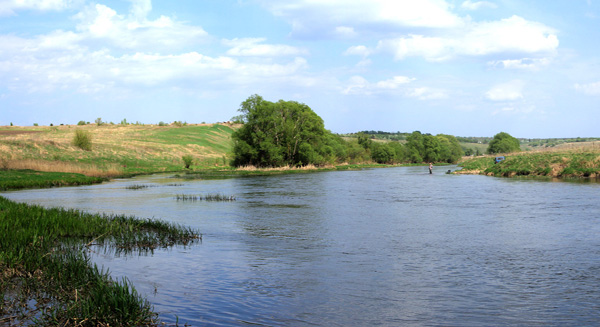 Речка Зуша нас всегда радует чистотой воды и красотой берегов.