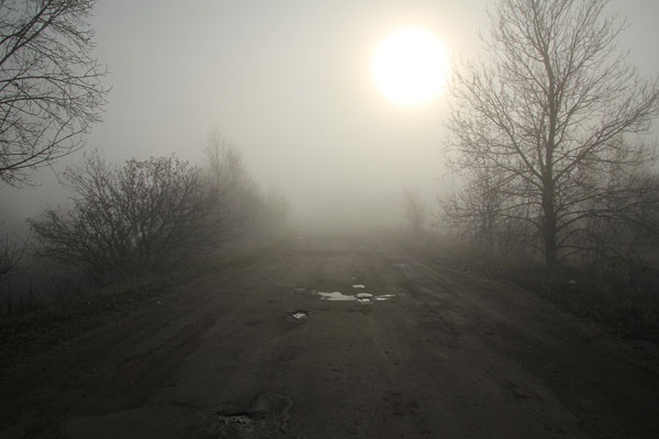 Видимость в утреннем тумане была не более 50-70 м.