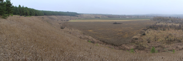 Вид влево с пара-старта Голянка.