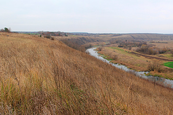  .     ""      .  .   . , ,      .   !