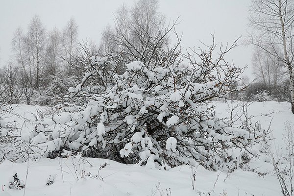 ������ � �����  ������ ������������ ������. ������ ������������ �� ��� ������ ������ ����� ��� ������ ���������.