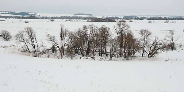 ������ �������� ��� ������� ������� "�����", ��������� ��������� ������, �����&nbsp;�����������