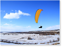 ��������&nbsp;��� � ����� ���������� ����� ����� (����&nbsp;2021&nbsp;�).