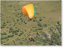 Параавис Рэй в Чегеме (2022 г).