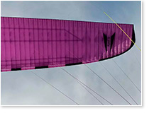 Параавис Рэй-2. Купол снизу покрупнее.